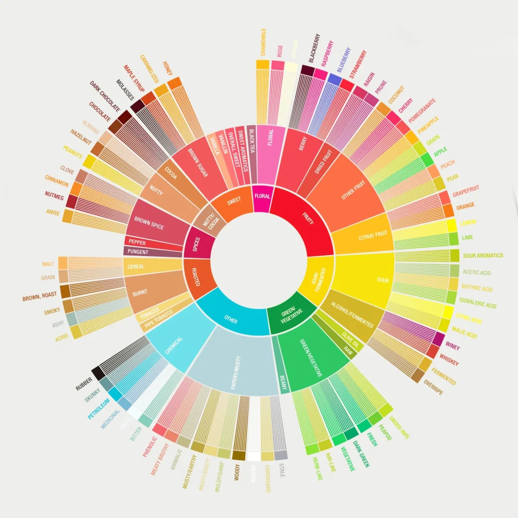 La rueda de sabores del café